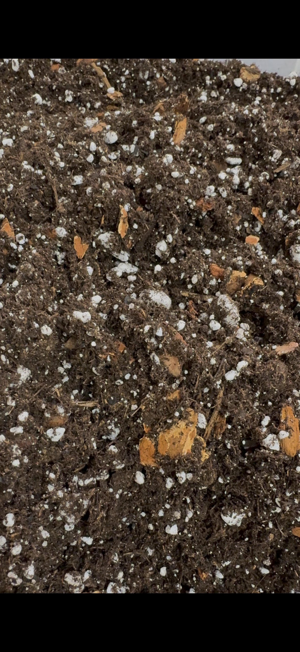 Chunky Classic Premium Potting Mix | Breathable Soil for Houseplants Pothos Peace Lily Peperomia | Well-Draining with Peat Perlite and Bark Chips