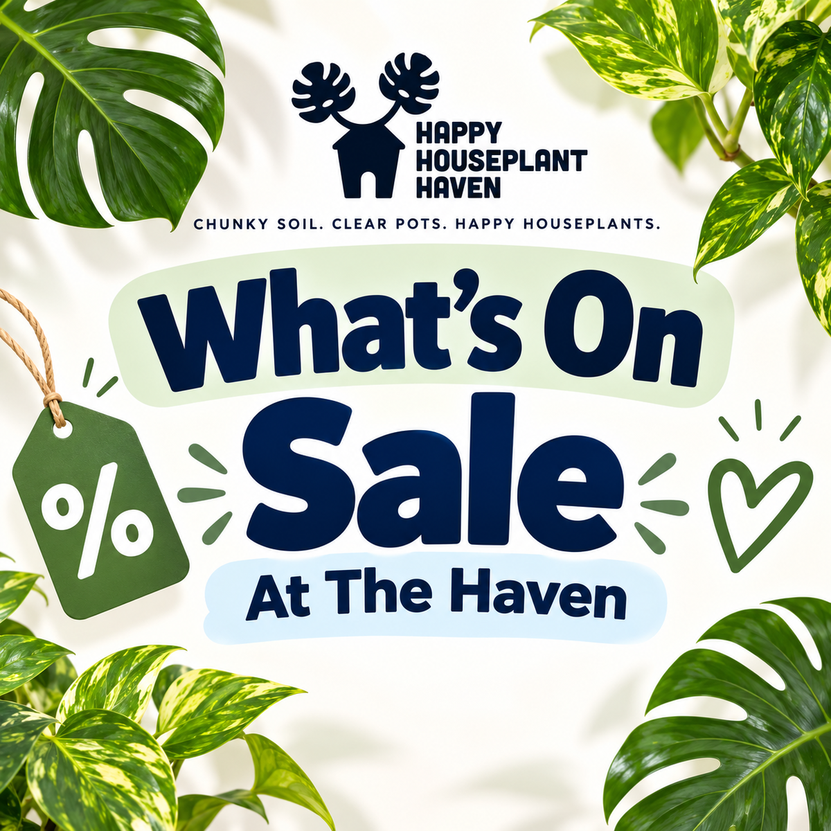What's On Sale At The Haven