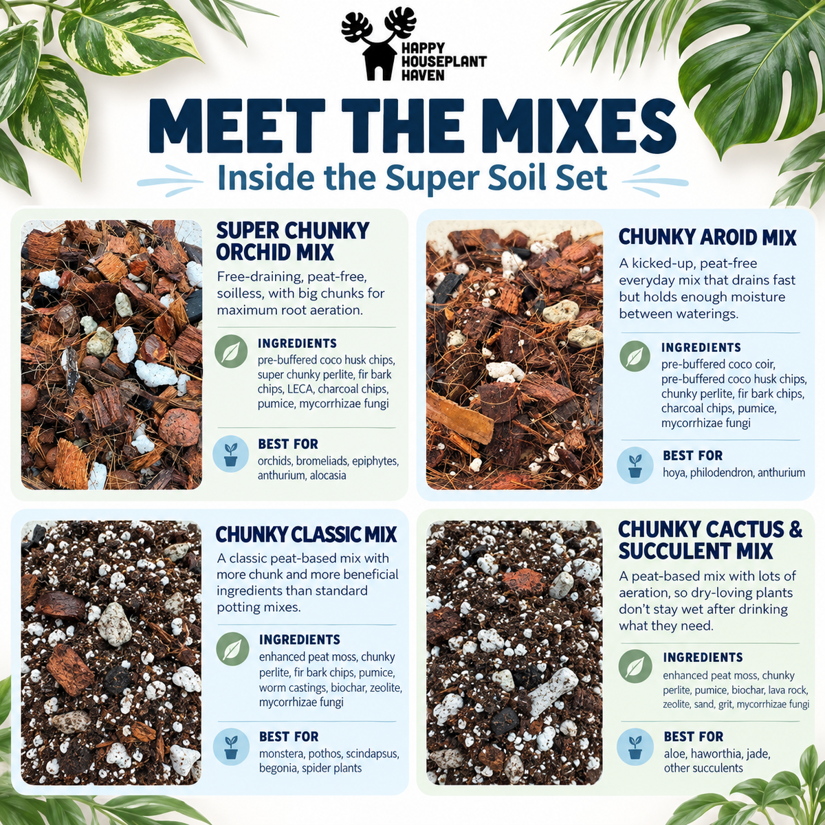 An informational graphic titled 'MEET THE MIXES Inside the Super Soil Set' from Happy Houseplant Haven, showing four soil mixes arranged in a grid with descriptions and photos of the blends.