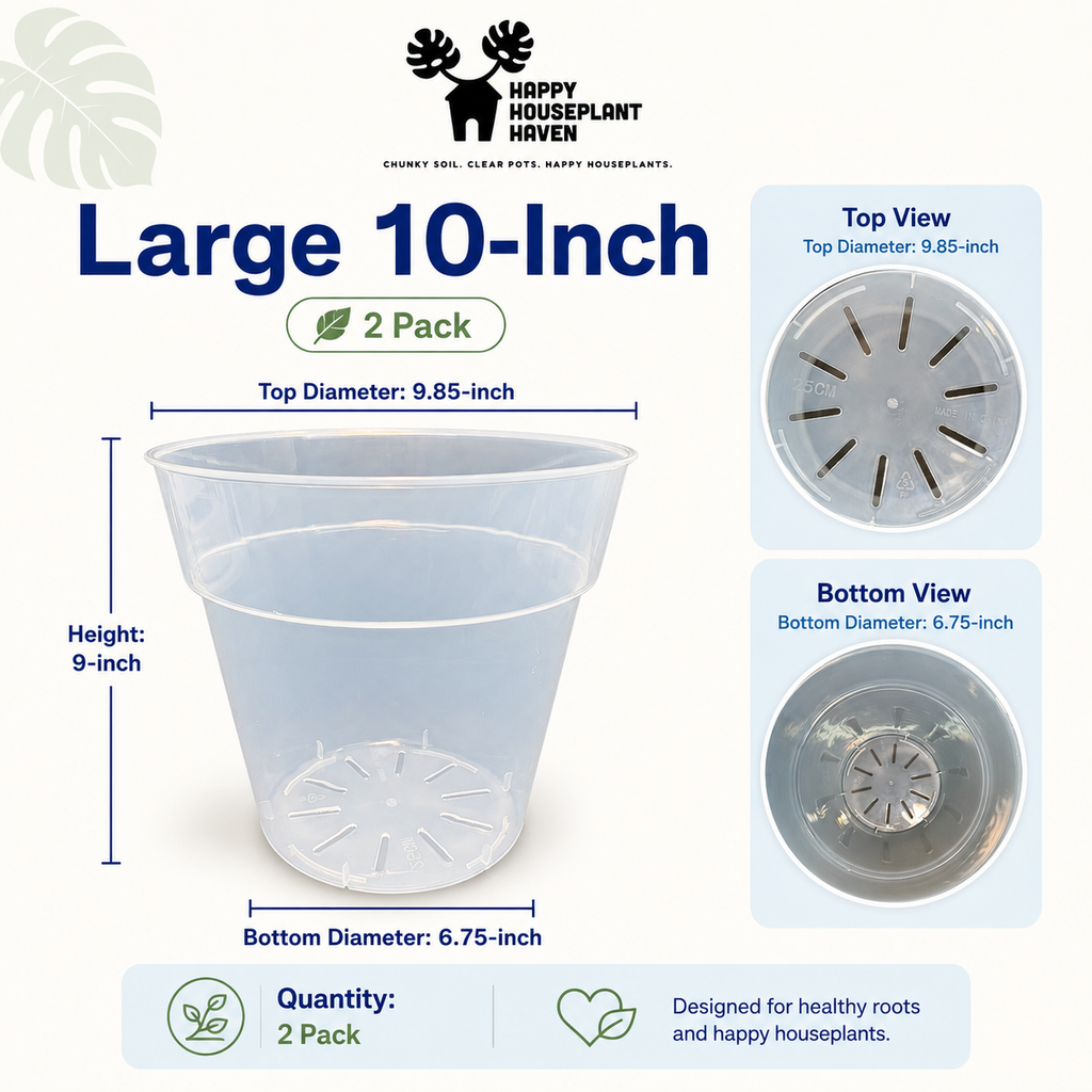 10-Inch Large Clear Nursery Pot | 2 Pack | Transparent Plastic Planter for Indoor & Outdoor Plants