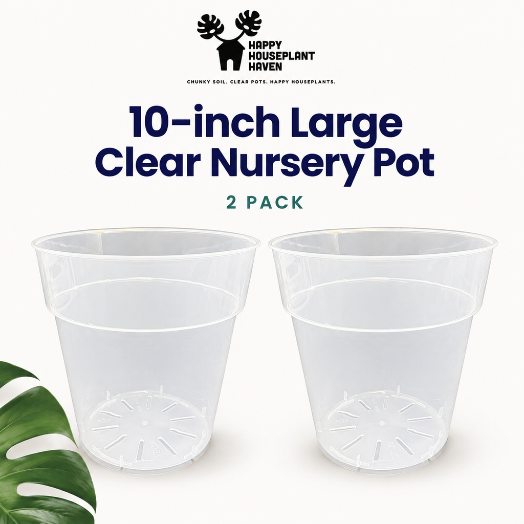 10-Inch Large Clear Nursery Pot | 2 Pack | Transparent Plastic Planter for Indoor & Outdoor Plants