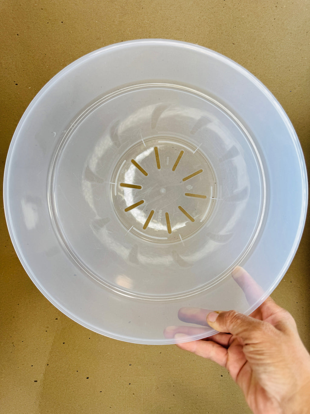 11.5-inch Extra Large Clear Plant Pot | Transparent Plastic Planter for Indoor & Outdoor Plants