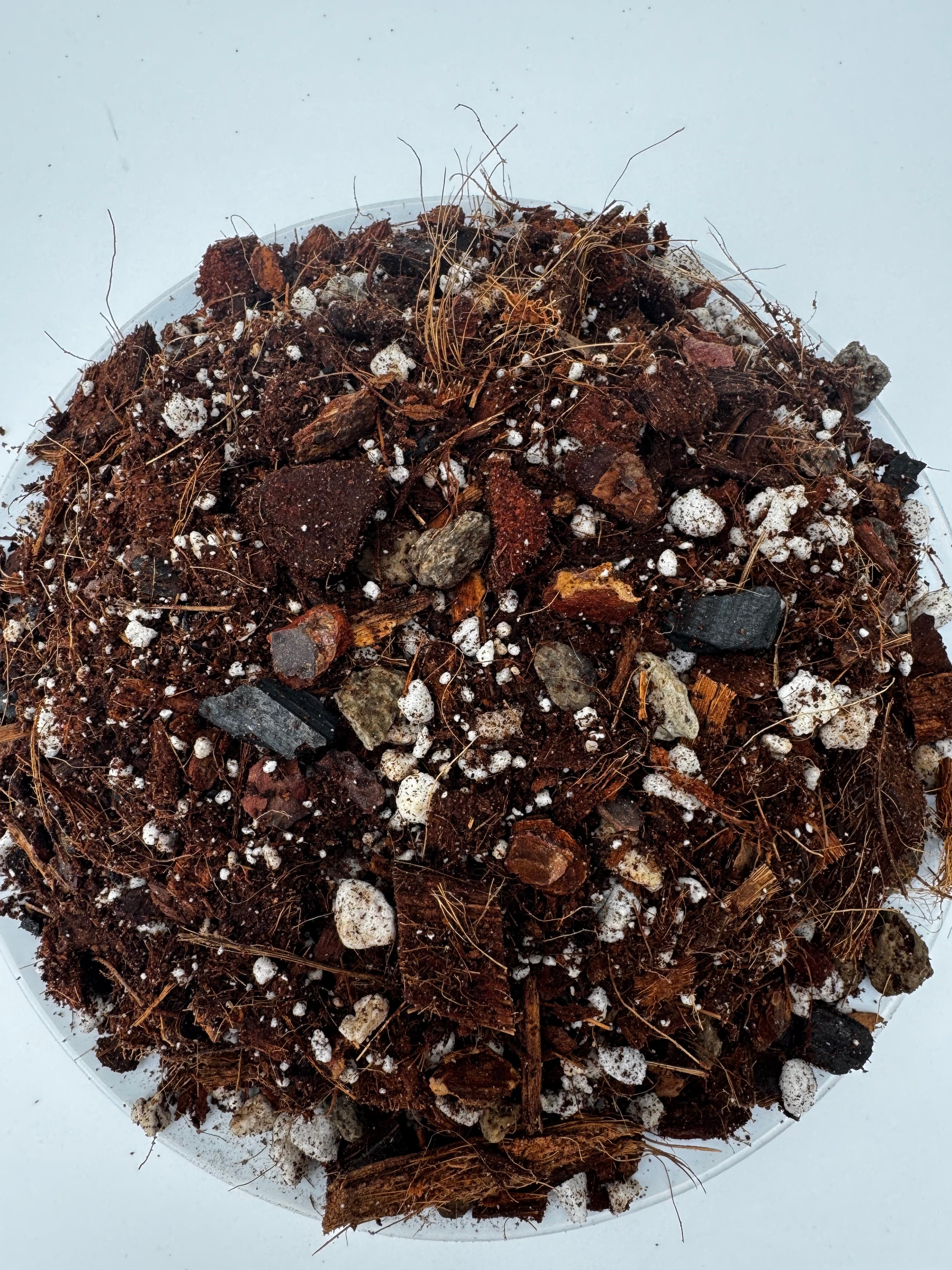 The Repot Remedy | Chunky Potting Mix – Fast-Draining Soil for Aroids Tropical Houseplants Repotting – Helps Prevent Root Rot