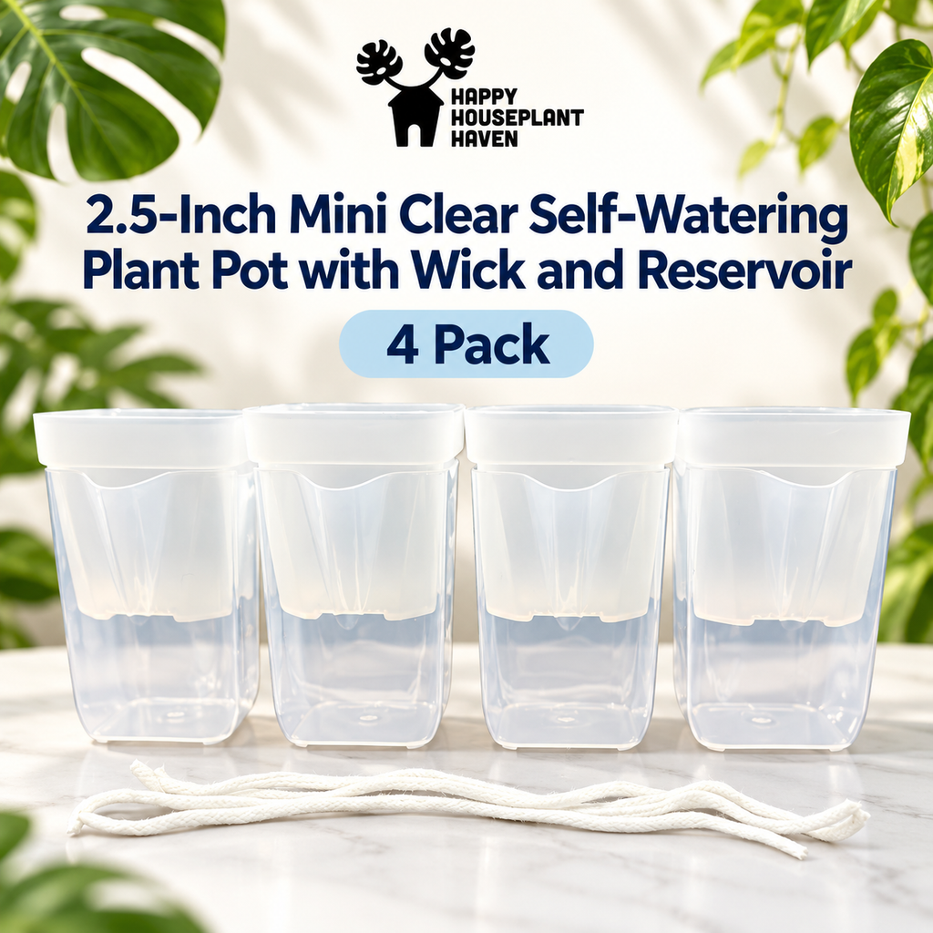 2.5-Inch Mini Clear Self-Watering Pots with Wick | 4 Pack | Propagation & Starter Pots