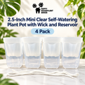 2.5-Inch Mini Clear Self-Watering Pots with Wick | 4 Pack | Propagation & Starter Pots