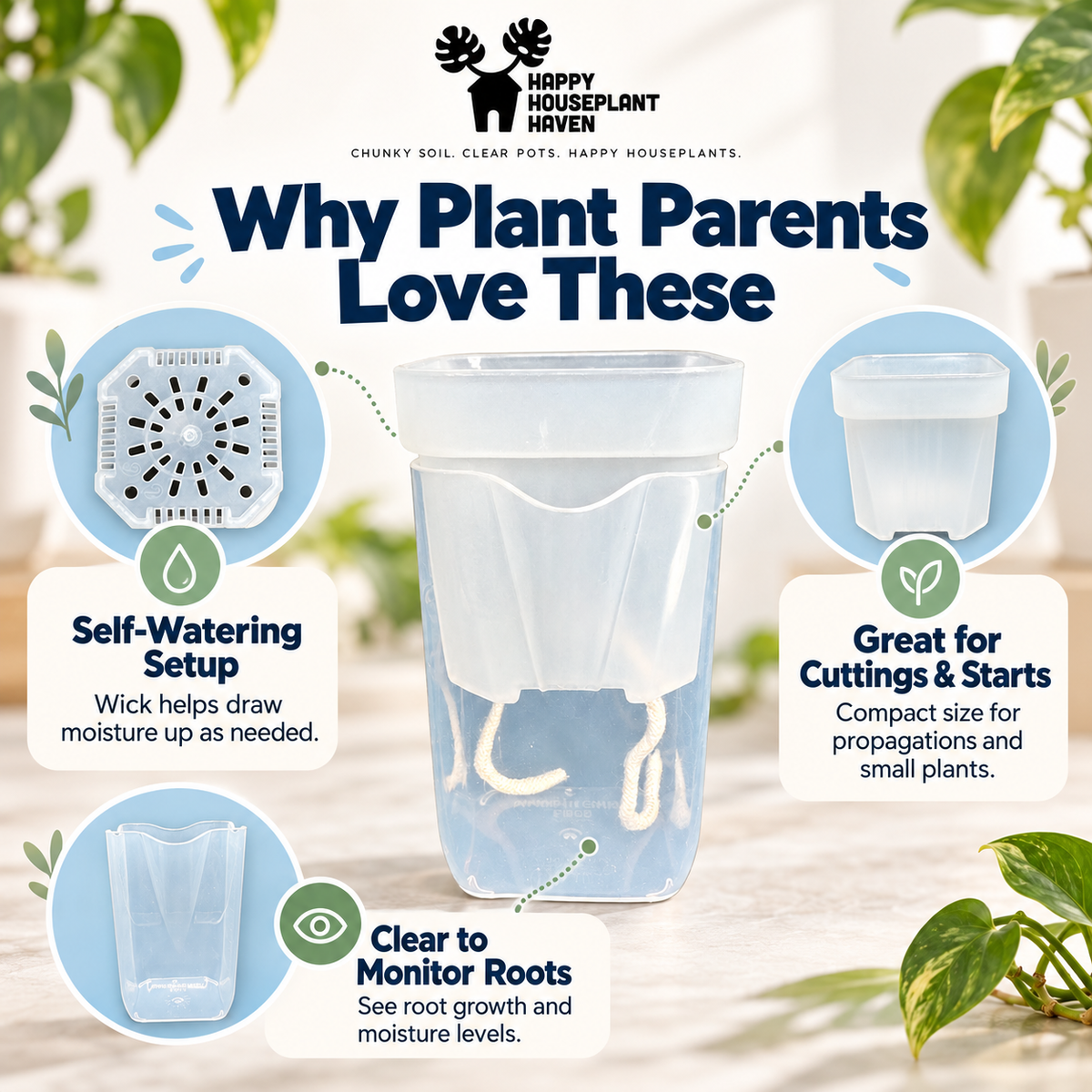 2.5-Inch Mini Clear Self-Watering Pots with Wick | 4 Pack | Propagation & Starter Pots
