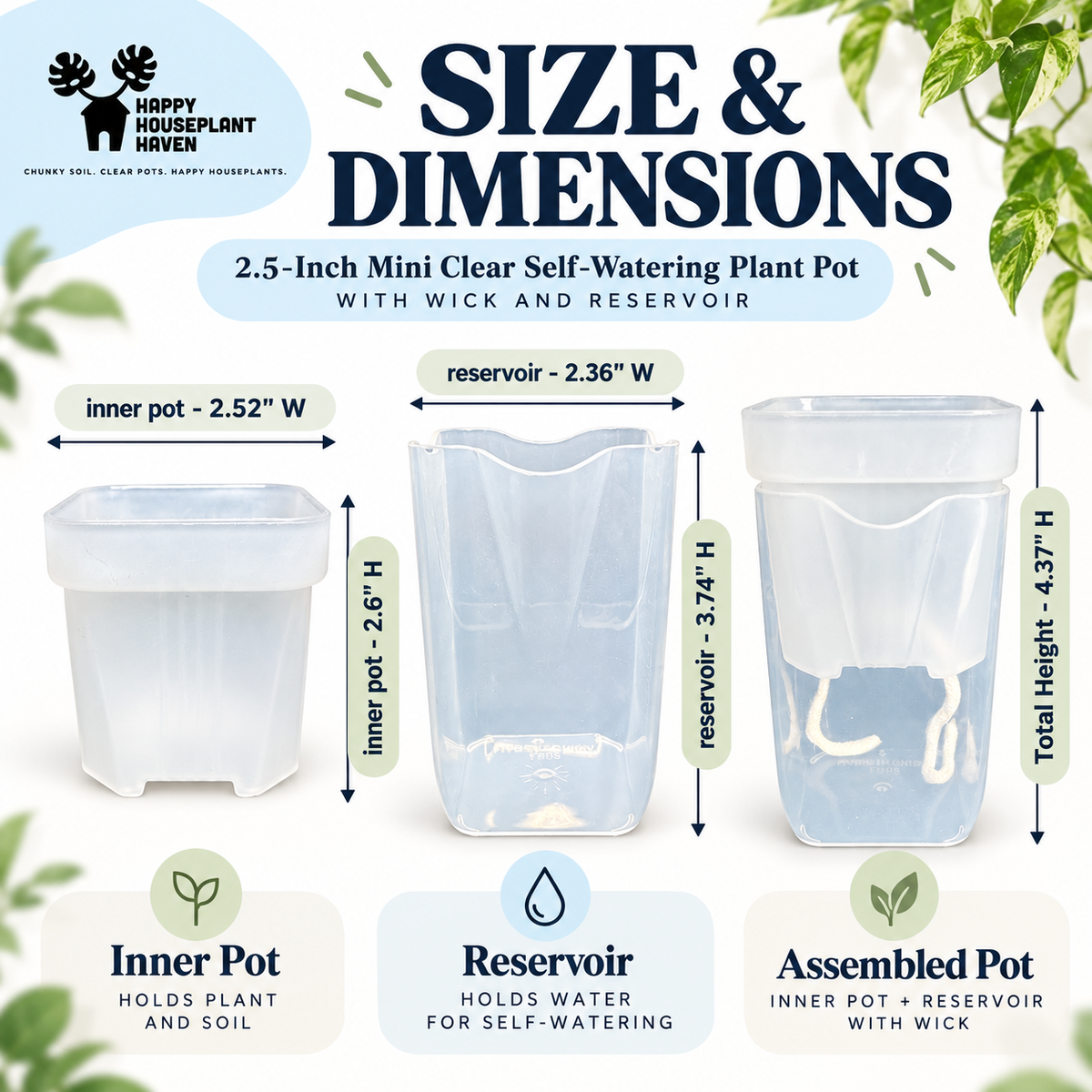 2.5-Inch Mini Clear Self-Watering Pots with Wick | 4 Pack | Propagation & Starter Pots