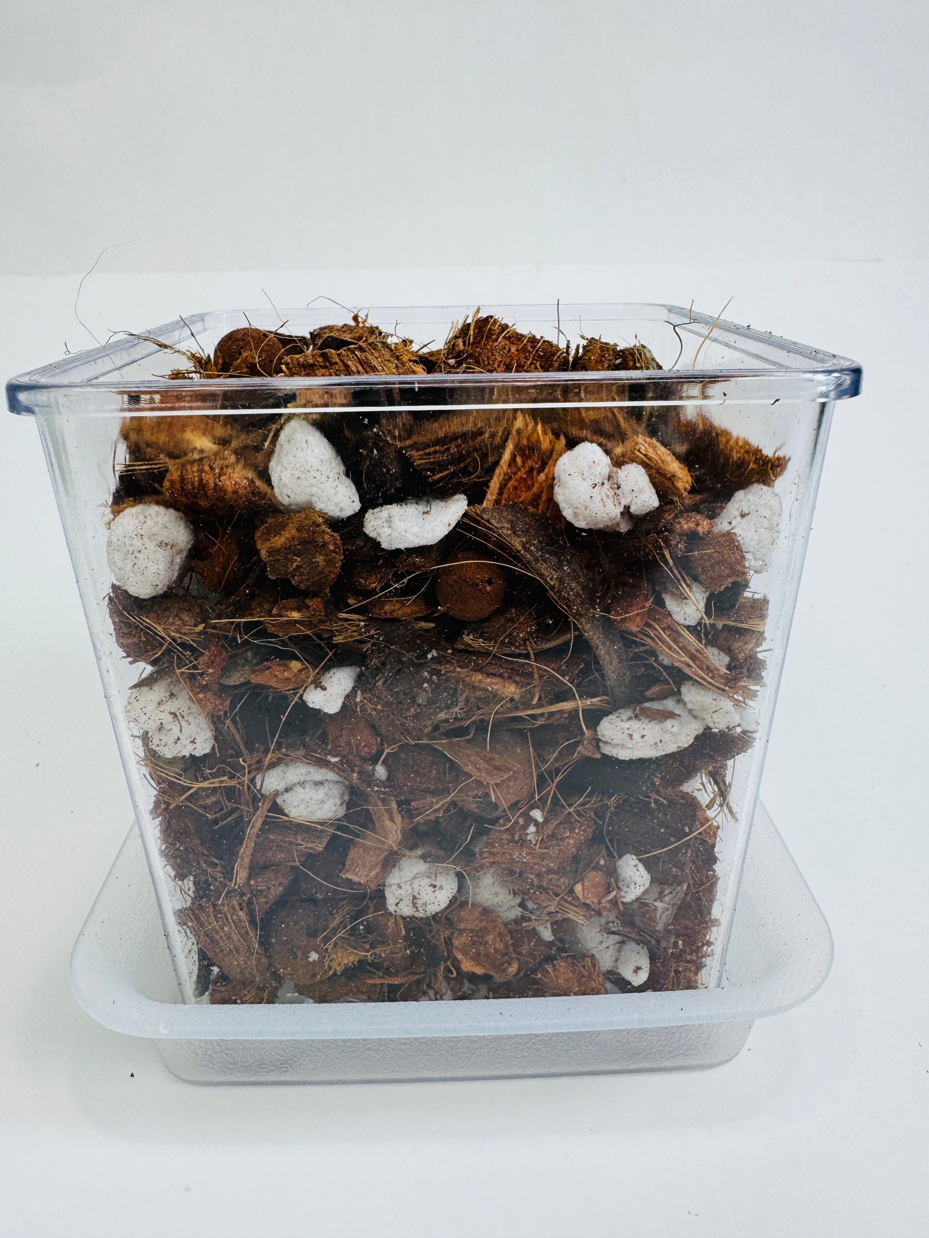 Super Chunky Premium Potting Mix Aroid Orchid and Hoya| Well-Draining Tropical Houseplant Soil with Perlite Bark Pumice