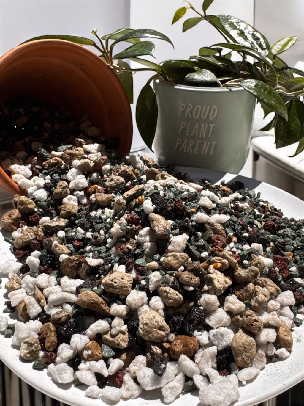 The Semi-Hydro Solution | Chunky PON Soil-Free Mix for Semi-Hydroponics & Self-Watering Pots | Mineral Plant Substrate