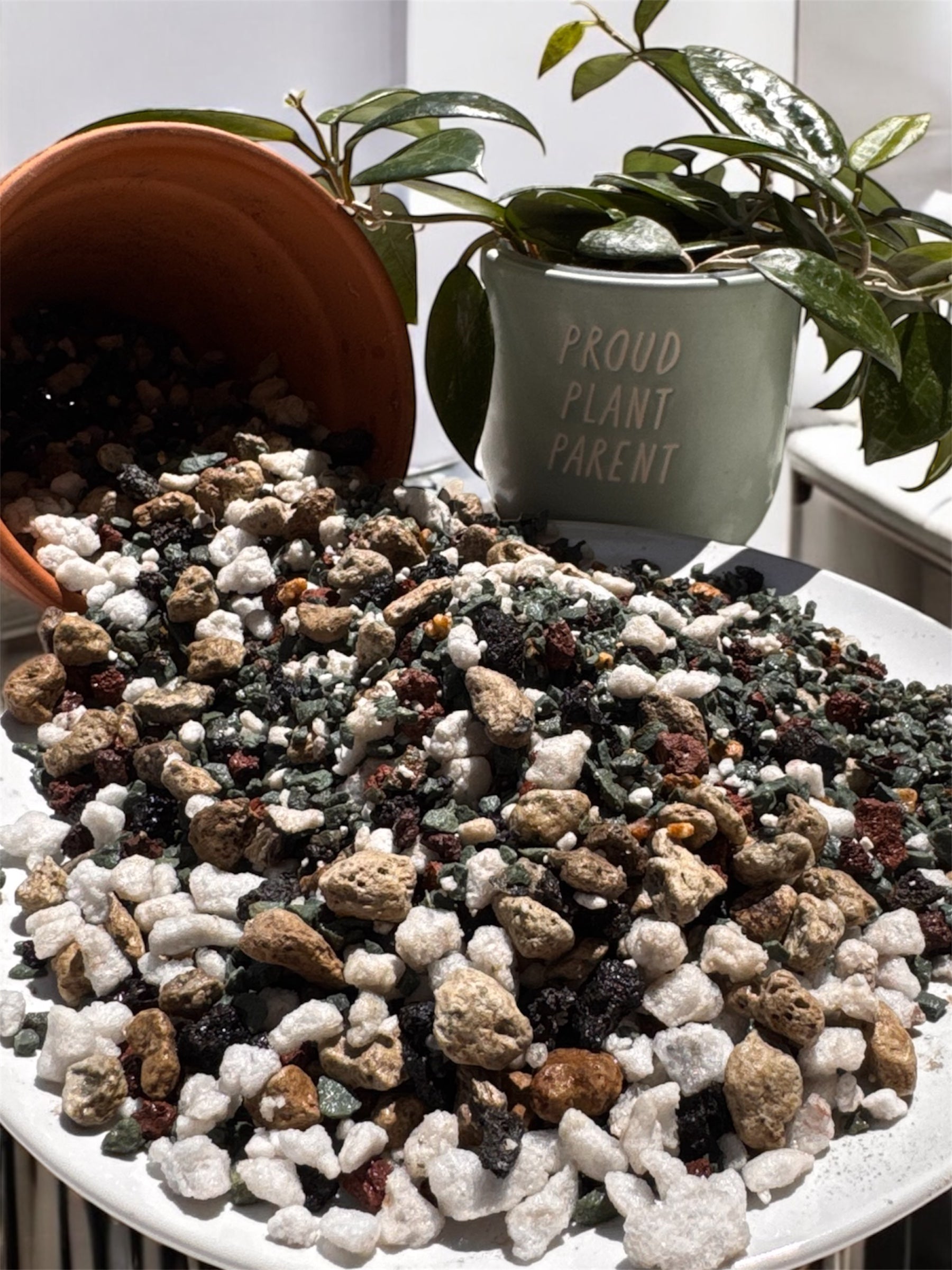 The Semi-Hydro Solution | Chunky PON Soil-Free Mix for Semi-Hydroponics & Self-Watering Pots | Mineral Plant Substrate