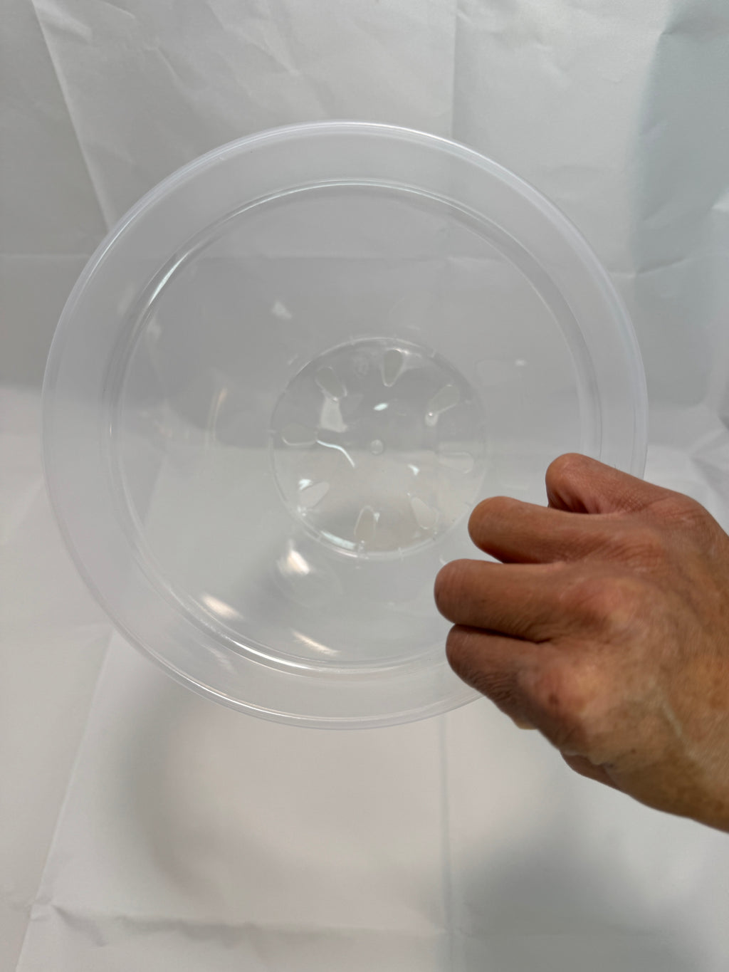 8-Inch Large Clear Nursery Pots | 2 Pack | Transparent Plastic Planter for Indoor & Outdoor Plants