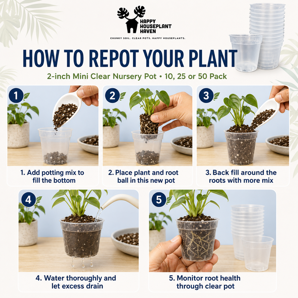2-Inch Clear Plastic Nursery Pots with Drainage Holes Multi-Pack | Seed Starter Pots for Succulents, Herbs, Seedlings & Cuttings