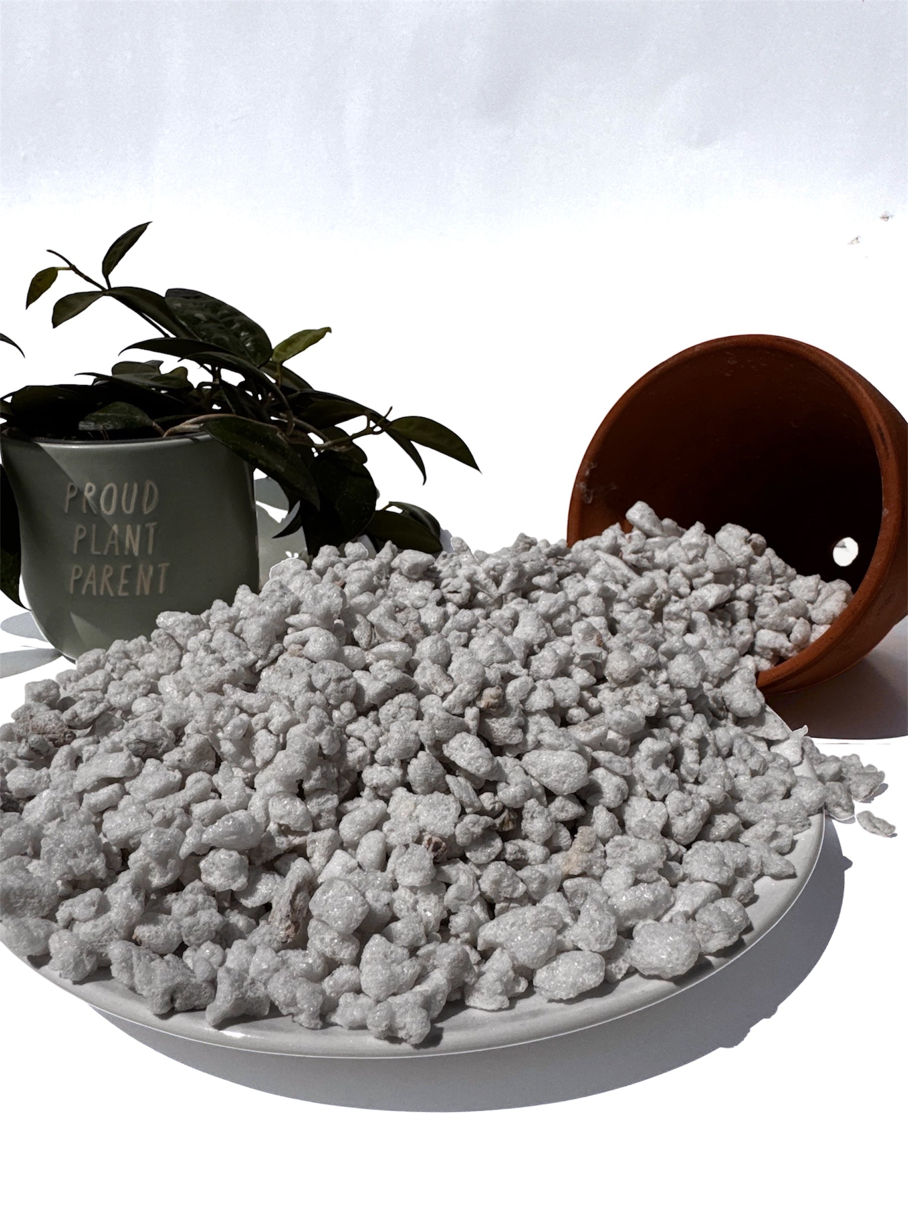 #3 Chunky Perlite – Medium-Large Grade Perlite for Drainage, Aeration & Custom Potting Mixes