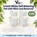 Four white 3-inch self-watering plant pots with wicks and reservoirs, shown as a 4-pack with white wicks and plant tags on a light background with decorative green leaves. The Happy House Plant Haven logo is visible at the top.