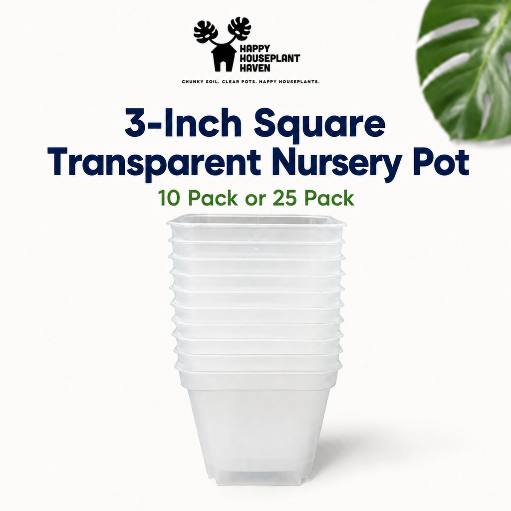 3-Inch Clear Square Nursery Pot | 10 Pack or 25 Pack | Transparent Plant Pot for Cuttings and Starter Plants
