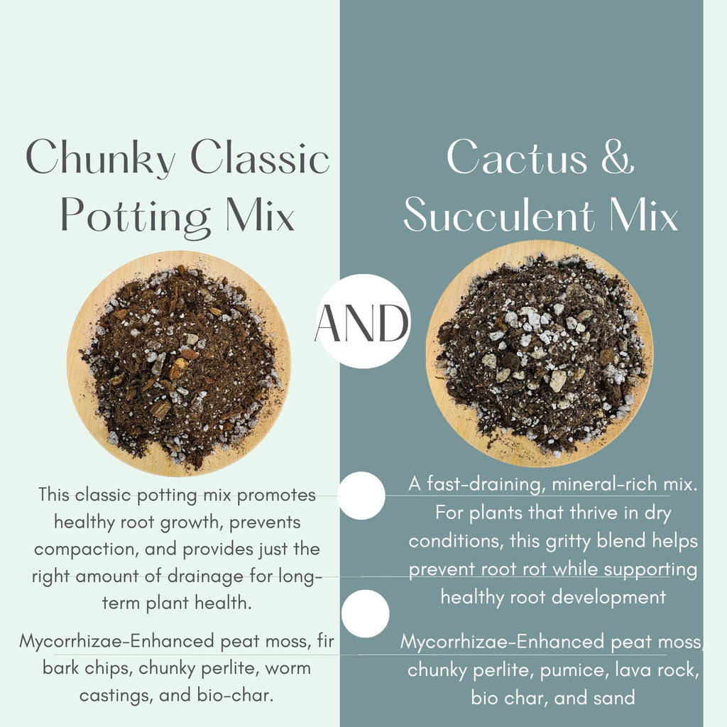 Ultimate Soil and PON Gift Set | 6 Bag Variety Pack for Happy Houseplants | Includes Soil Mixes + Classic and Chunky PON