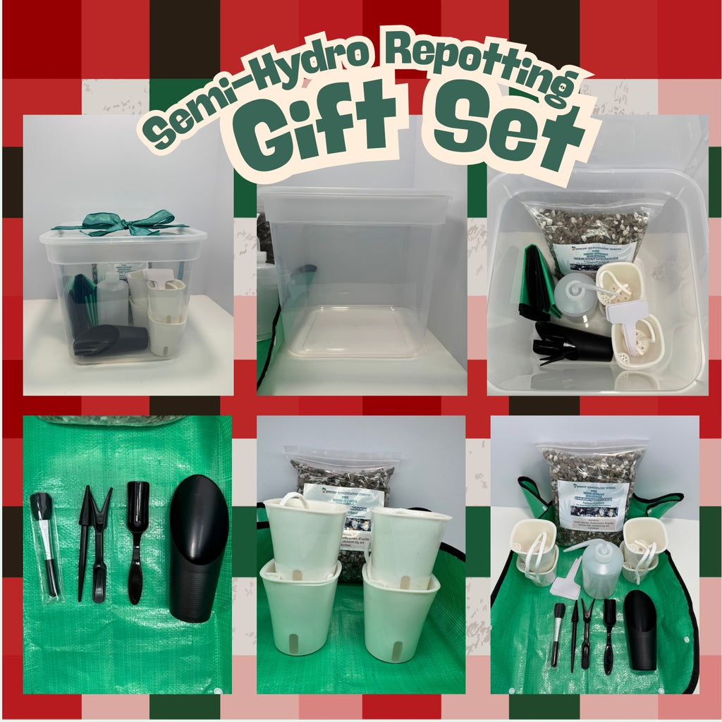 1/2 GAL Semi-Hydro Starter Kit in Clear Storage Bin | Plant Lover's PON Gift Set | FREE BONUS BAG