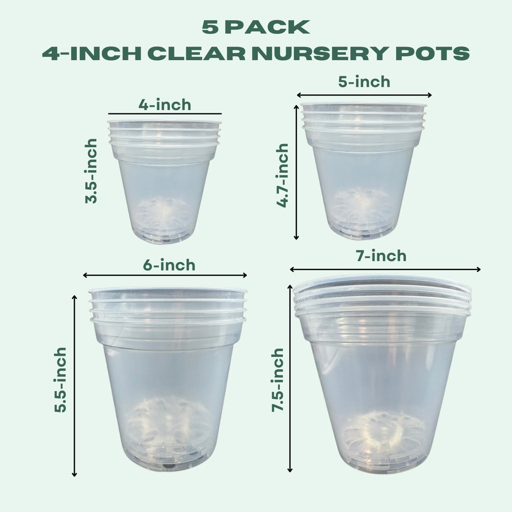 Clear nursery pots with dimensions labeled on a white background