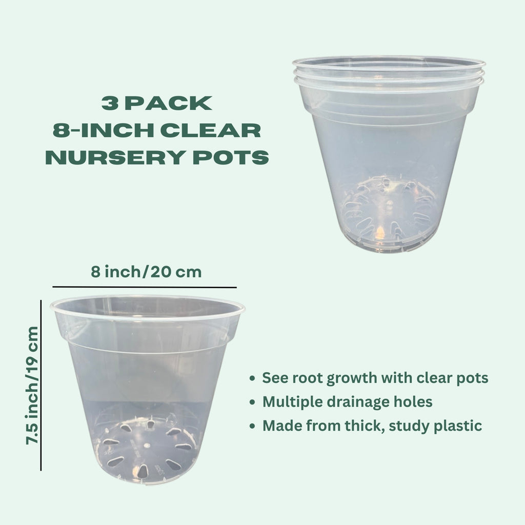 8-Inch Large Clear Nursery Pots | 3 Pack | Transparent Plastic Planter for Indoor & Outdoor Plants