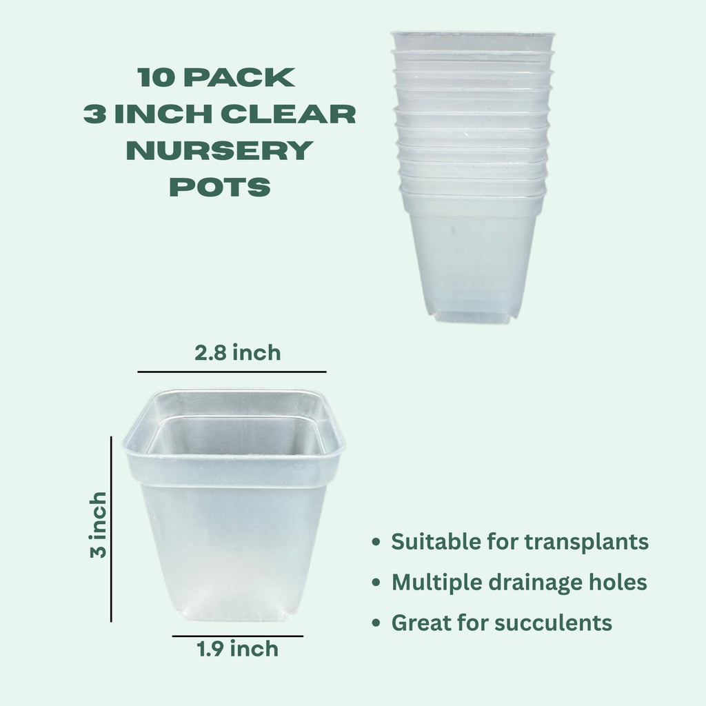 3-Inch Clear Square Nursery Pot | 10 Pack or 25 Pack | Transparent Plant Pot for Cuttings and Starter Plants