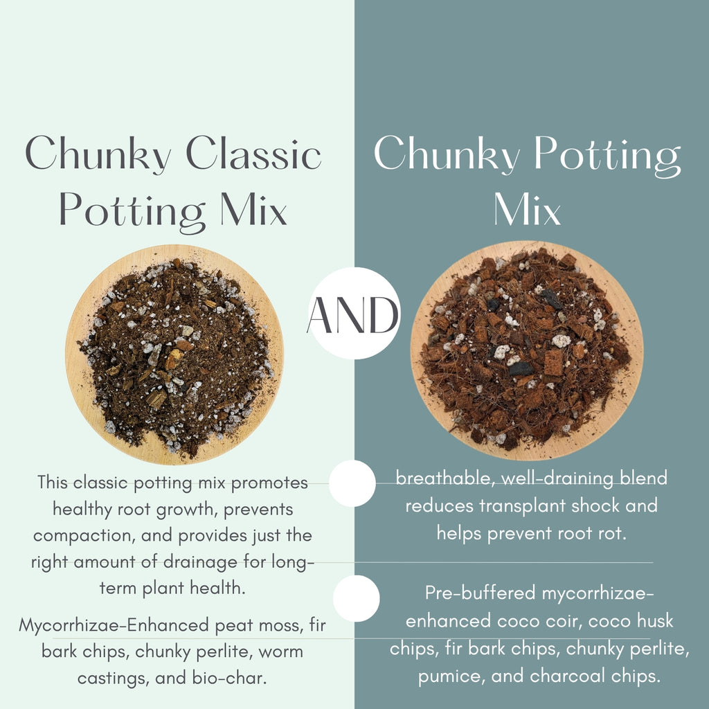 4PK Soil Mix Variety Bundle | 1 or 2 Gallon Gift Set for Houseplant Lovers