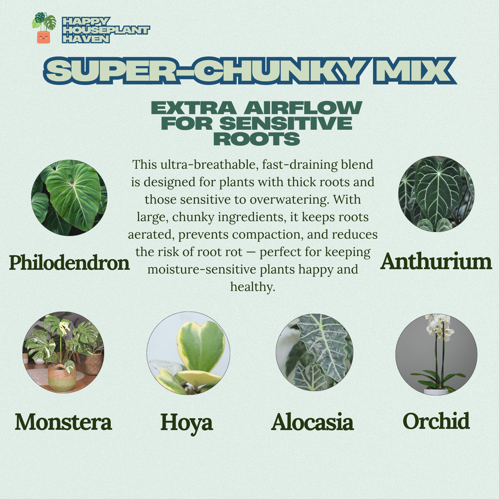 Super Chunky Premium Potting Mix Aroid Orchid and Hoya| Well-Draining Tropical Houseplant Soil with Perlite Bark Pumice