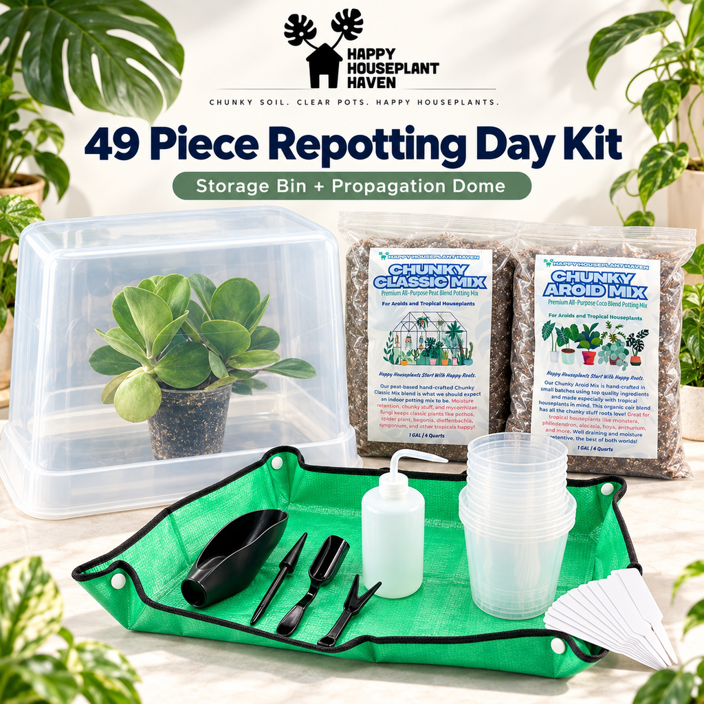 49-Piece Repotting Day Kit | Clear Nursery Pots, Potting Mix, Tools & Propagation Bin
