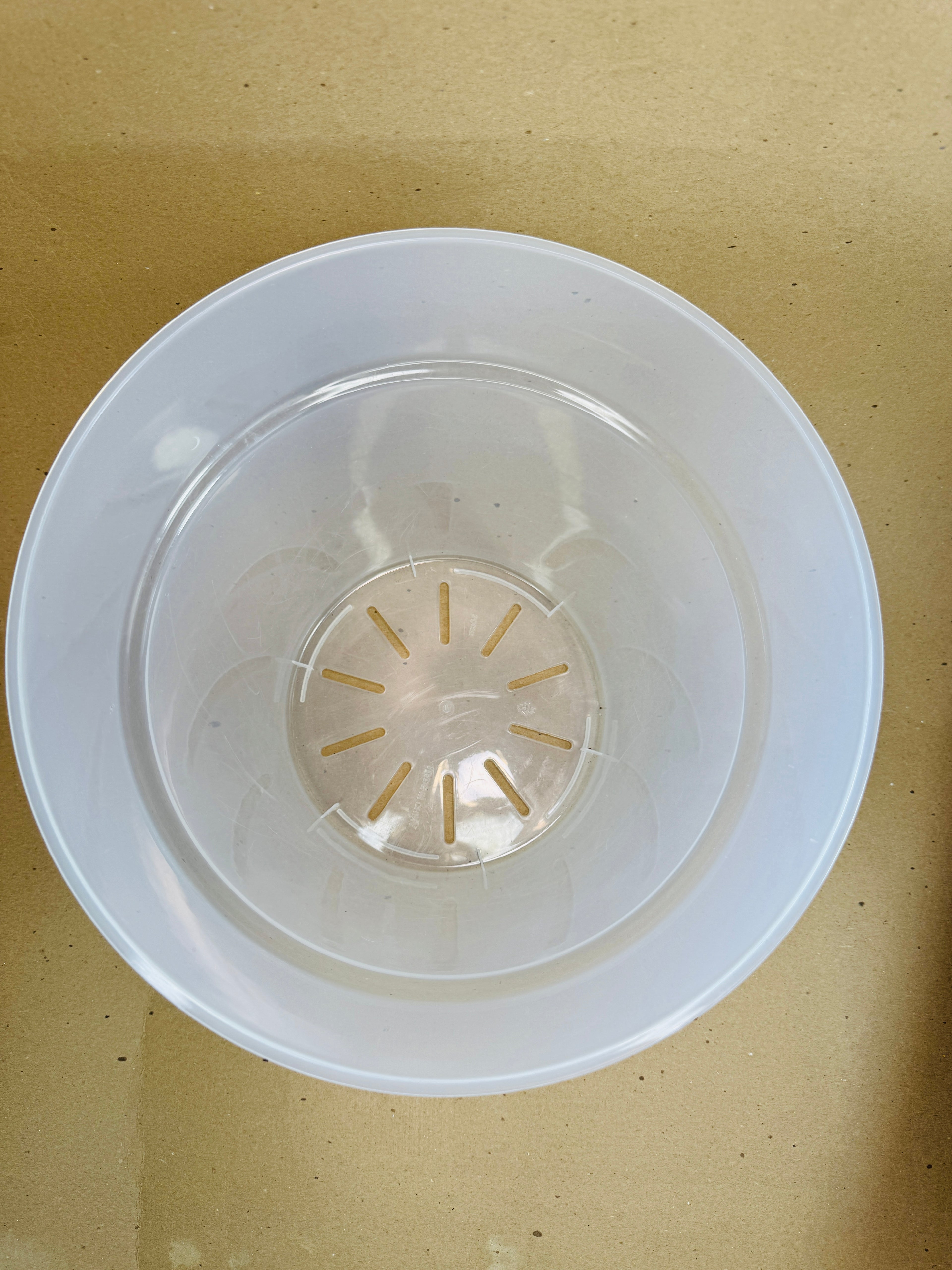 9-Inch Large Clear Nursery Pot with Saucer | Single or 3 Pack | Transparent Plastic Planter for Indoor & Outdoor Plants