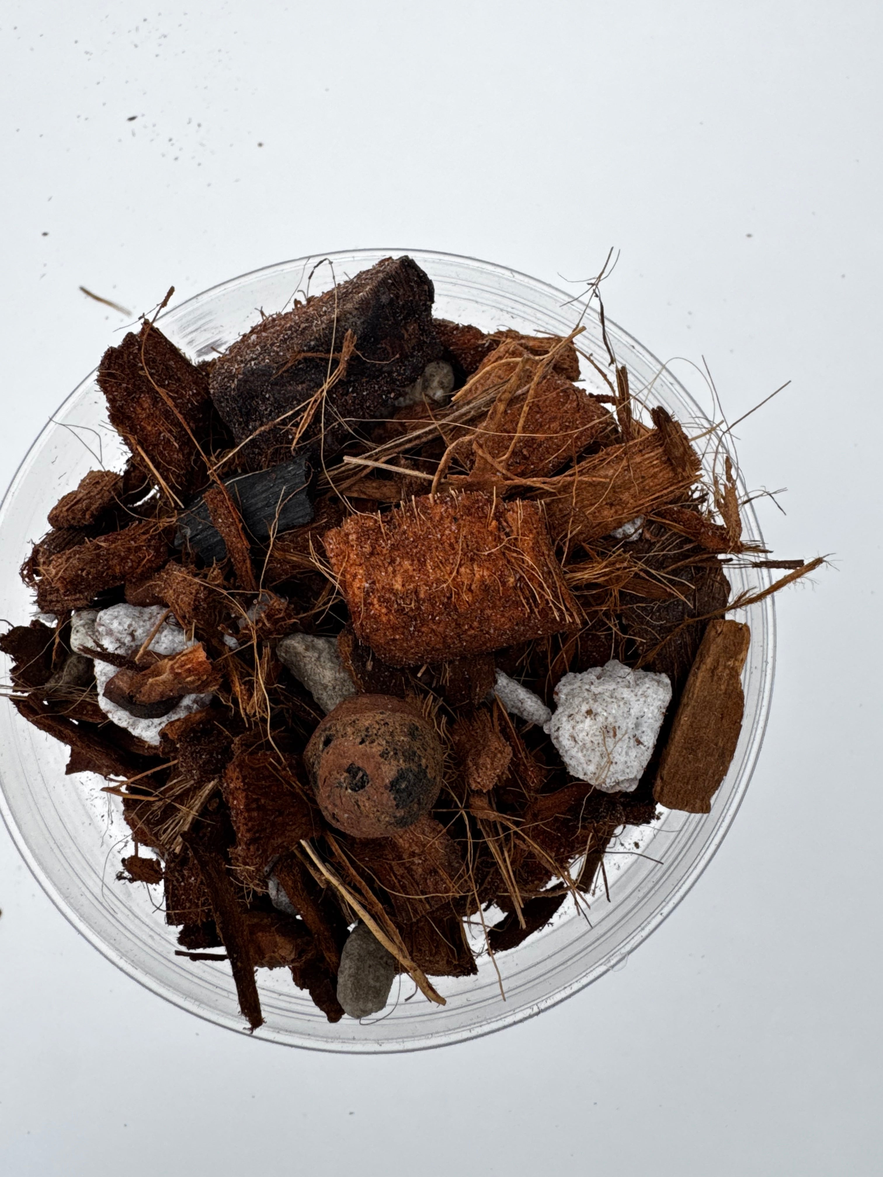 The Root Rot Remedy | Super Chunky Orchid and Hoya Potting Mix | Well-Draining Tropical Houseplant Soil with Perlite Bark Pumice
