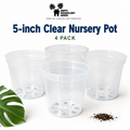 5-Inch Clear Nursery Pots | 4 pack | Large Transparent Plastic Plant Pots with Drainage for Indoor Tropical Houseplants