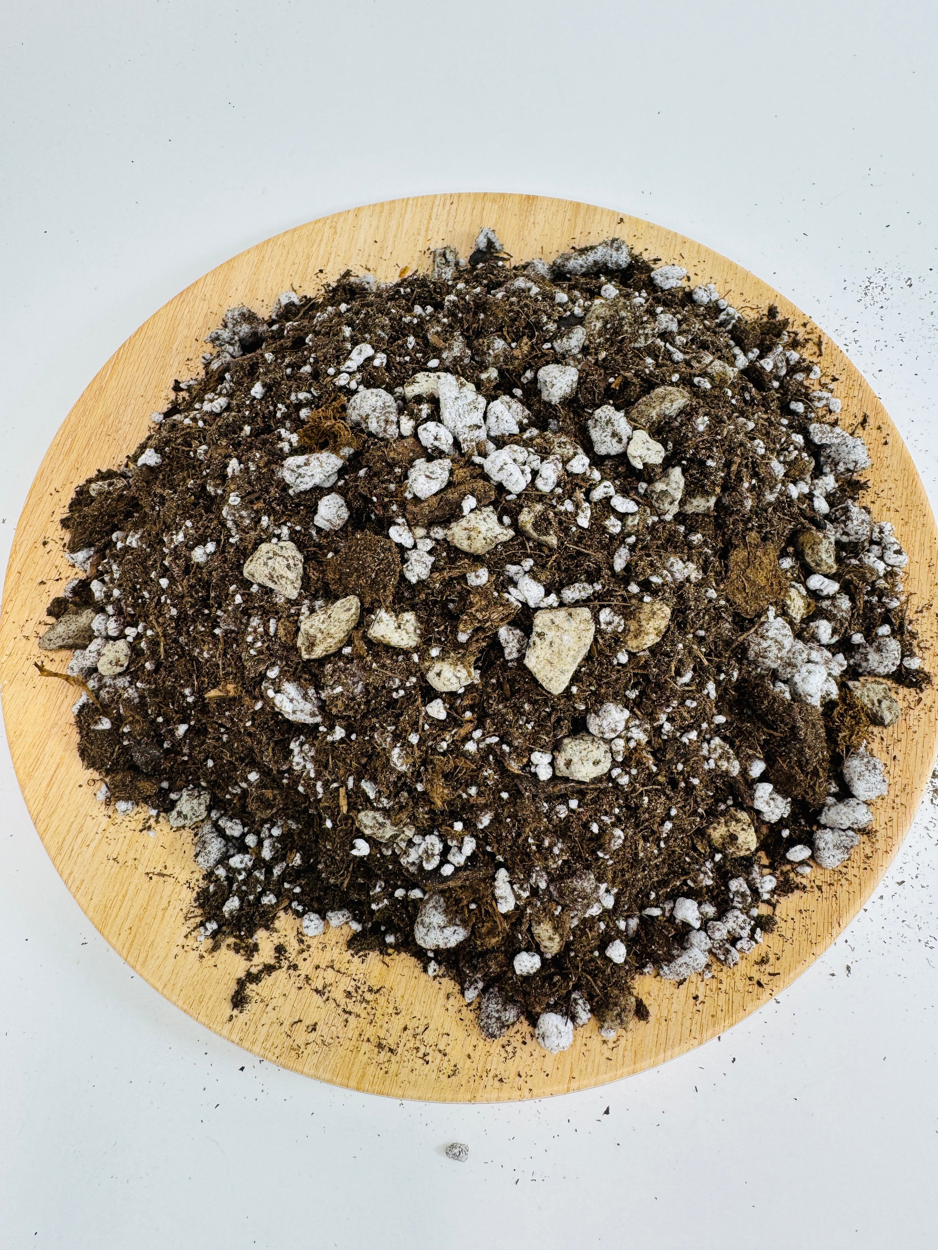 Cactus and Succulent Premium Potting Mix | Fast-Draining Gritty Soil for Succulents Cactus and Dry-Loving Plants
