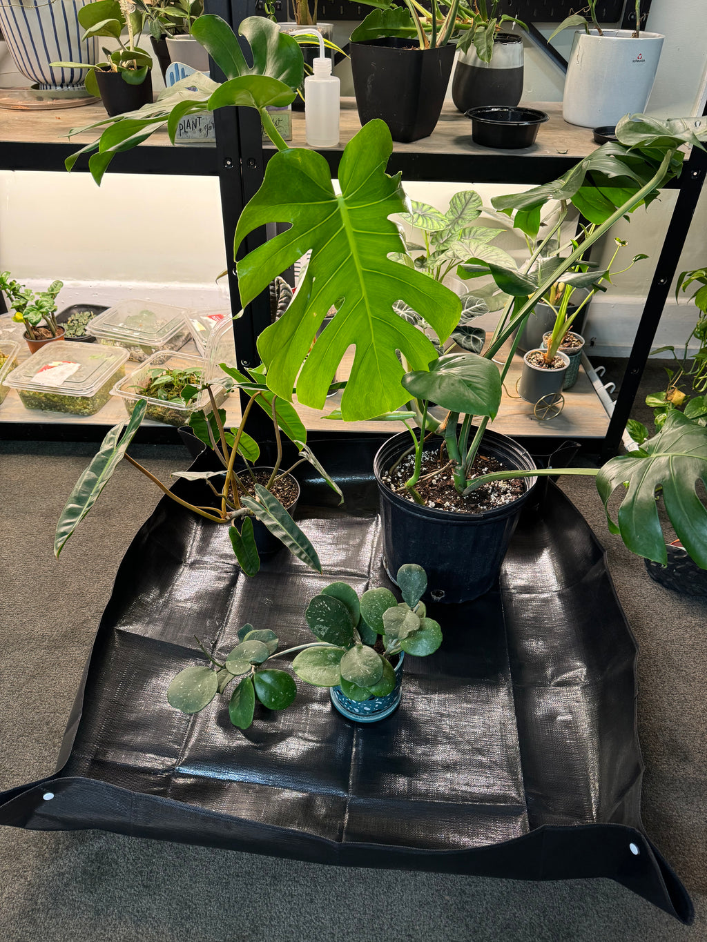 39 inch Large Potting Mat - Black | Mat For Repotting Plants