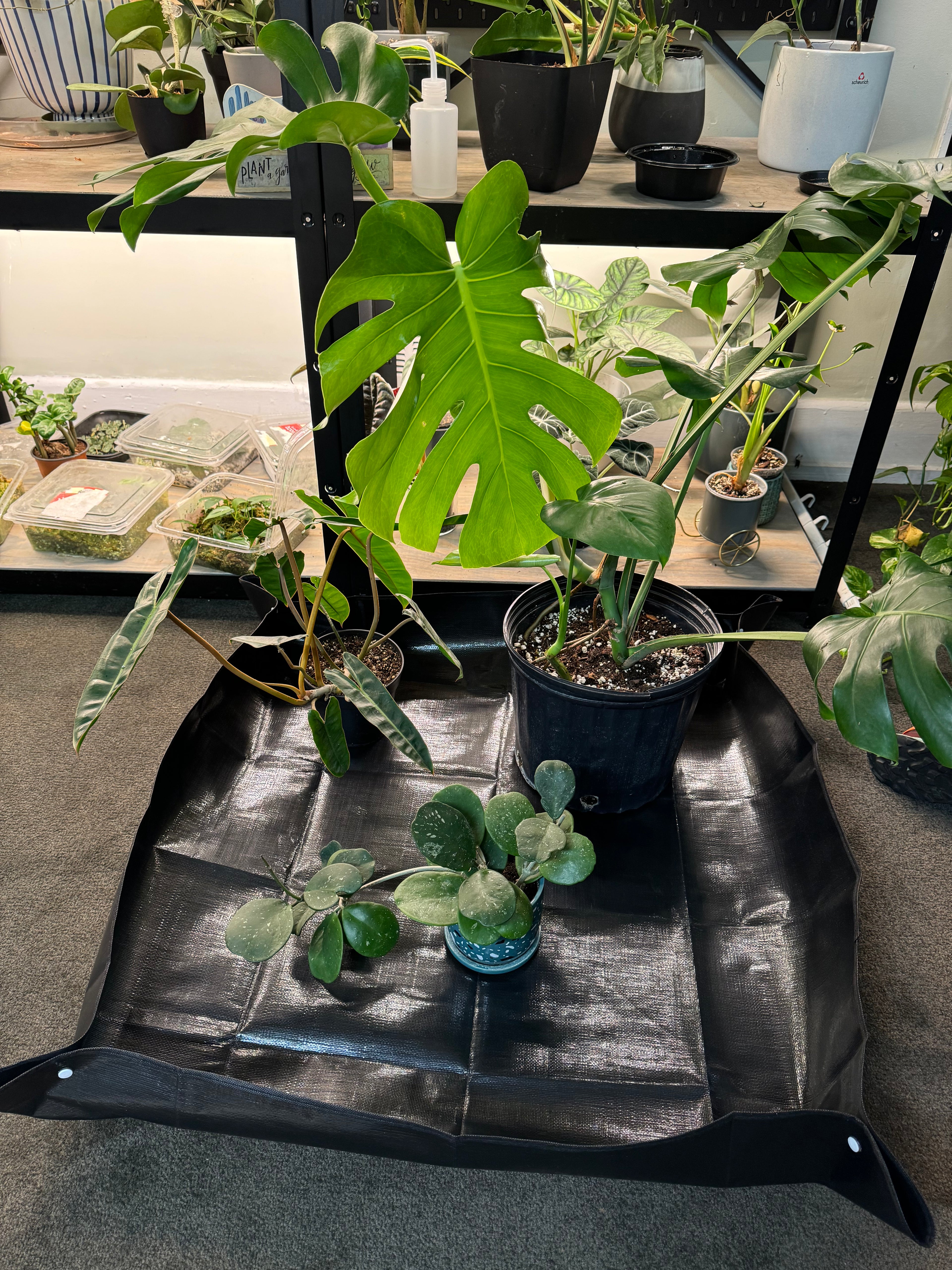 39 inch Large Potting Mat - Black | Mat For Repotting Plants