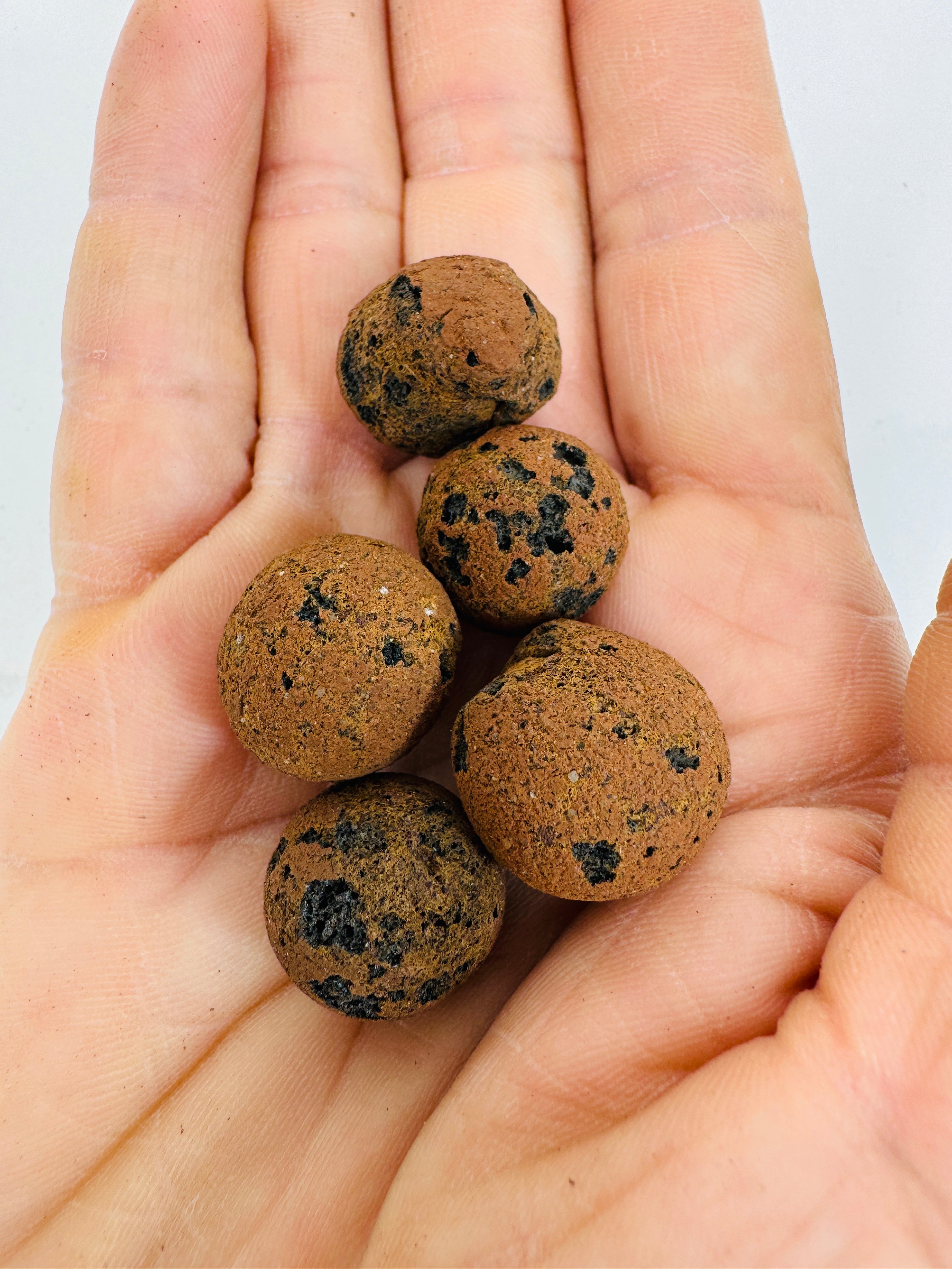 Jumbo LECA - Lightweight Expanded Clay Aggregate 15-25mm Size