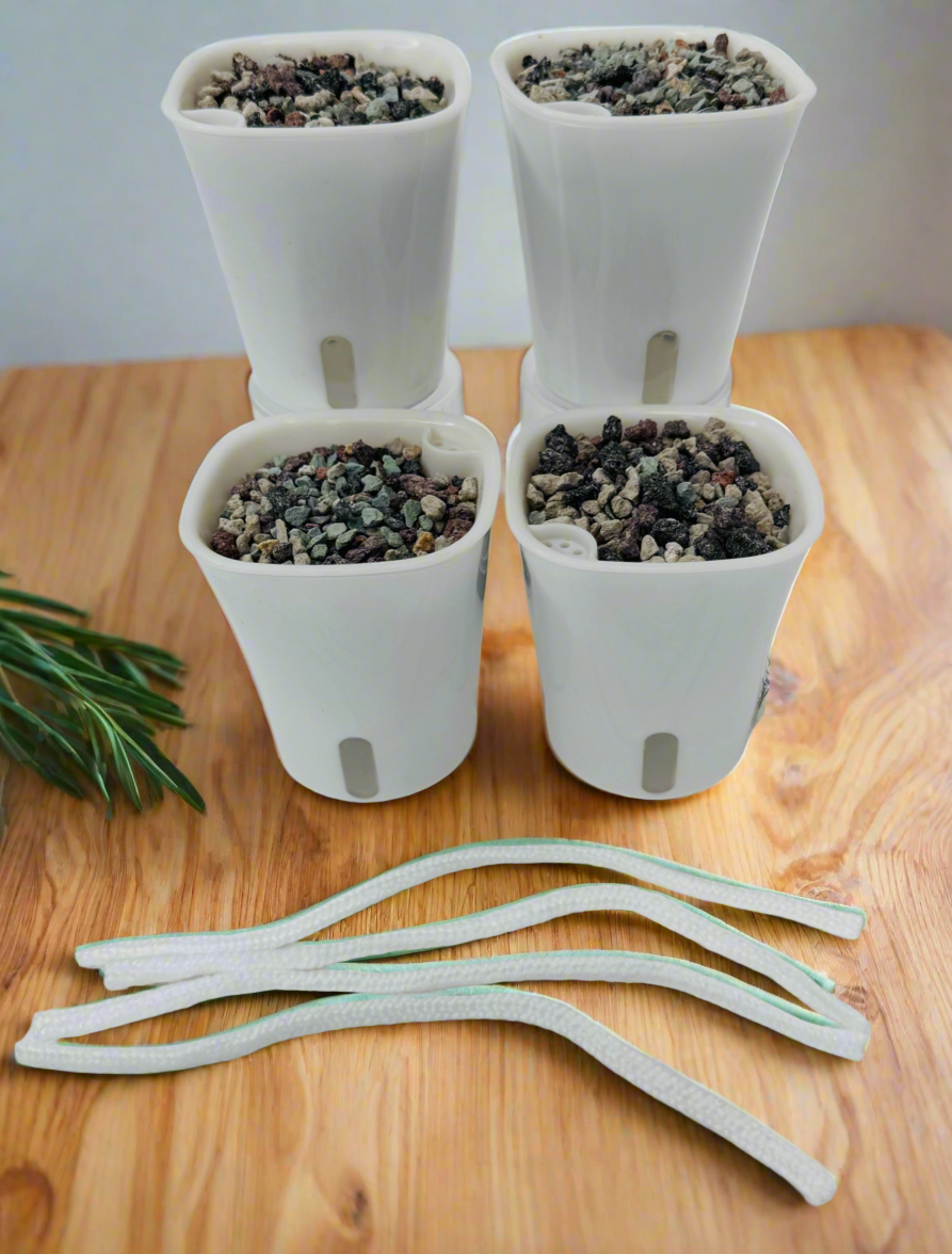 3-inch White Premium Self-Watering Pots | 2 Pack or 4 Pack | Self-Watering Planters with Water Level Indicator | Pots for Propagations & Small Plants