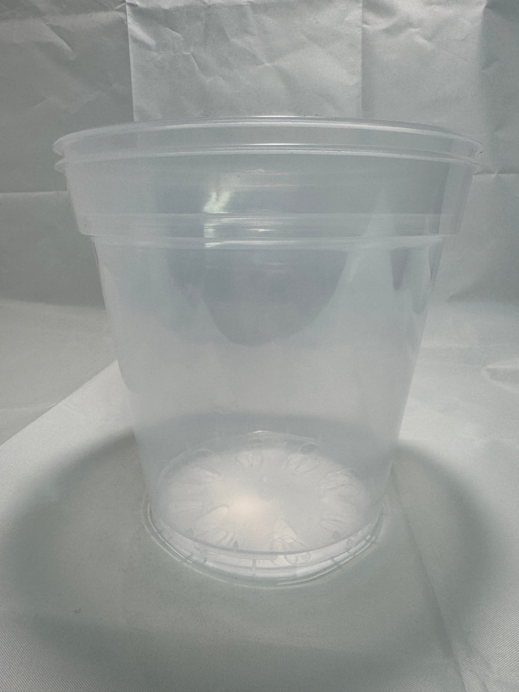 8-Inch Large Clear Nursery Pots | 2 Pack | Transparent Plastic Planter for Indoor & Outdoor Plants