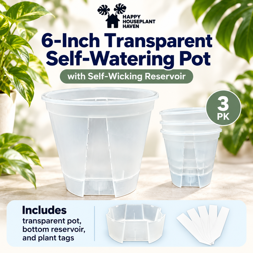 Three transparent 6-inch self-watering pots with a self-wicking reservoir, shown in a 3-pack. The image includes decorative green leaves in the background and text detailing the product features and included plant tags.