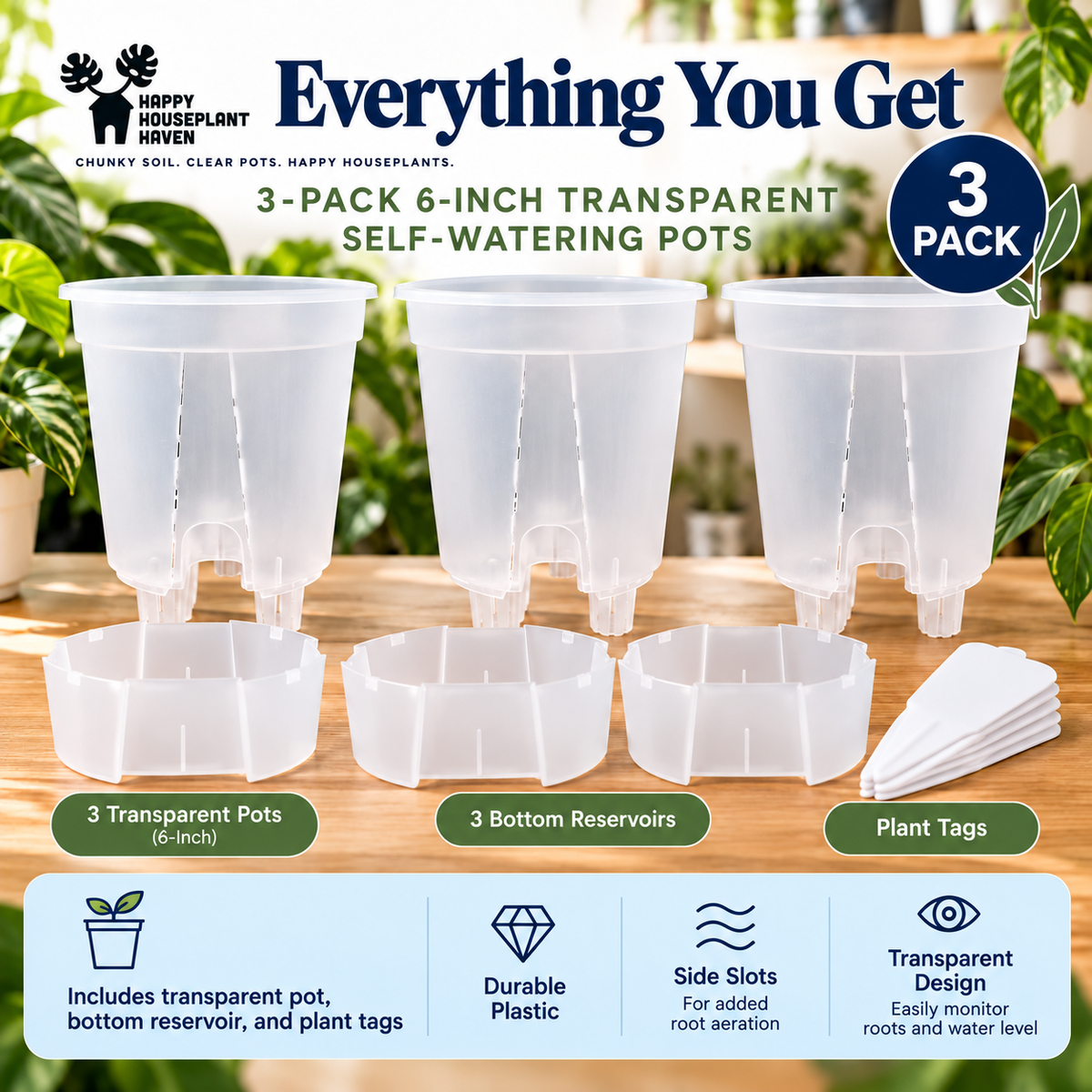 6-Inch Transparent Self-Watering Pots | 3 Pack | Clear Plant Pots with Reservoir Base