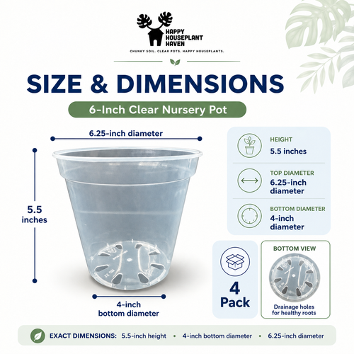 Size and dimensions chart for a 6-inch clear nursery pot by Happy Houseplant Haven, showing the pot with labeled measurements for height, top diameter, bottom diameter, and a bottom view with drainage holes.