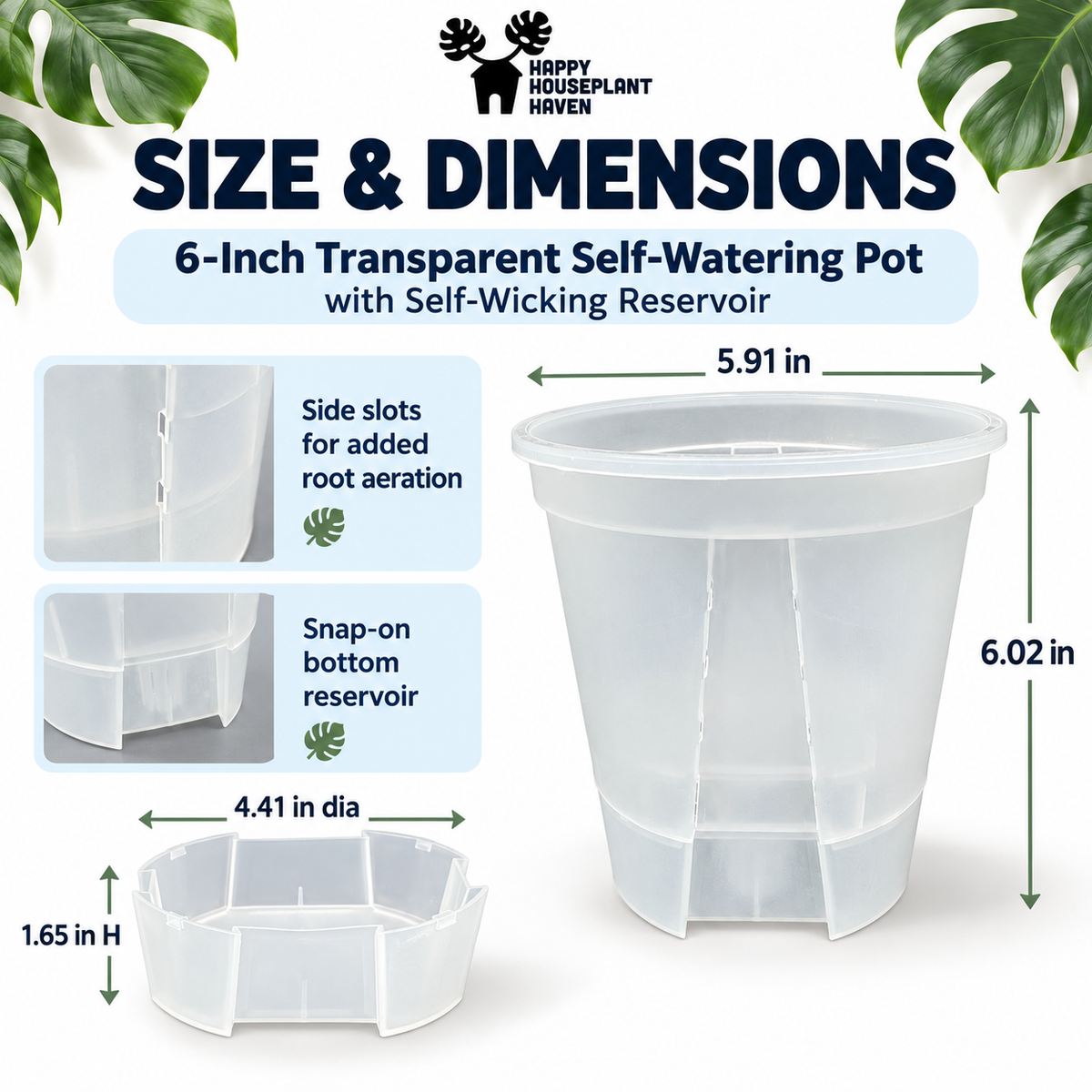 A size and dimensions chart for a 6-inch transparent self-watering pot with a self-wicking reservoir, showing the pot, reservoir, and labeled measurements on a white background with decorative green leaves.