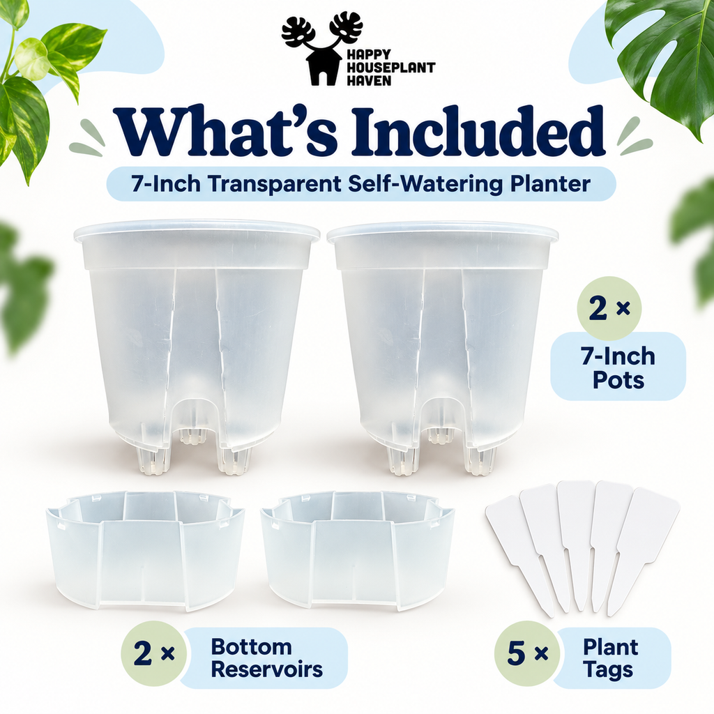 7-Inch Transparent Self-Watering Pots | 2 Pack | Clear Plant Pots with Reservoir Base