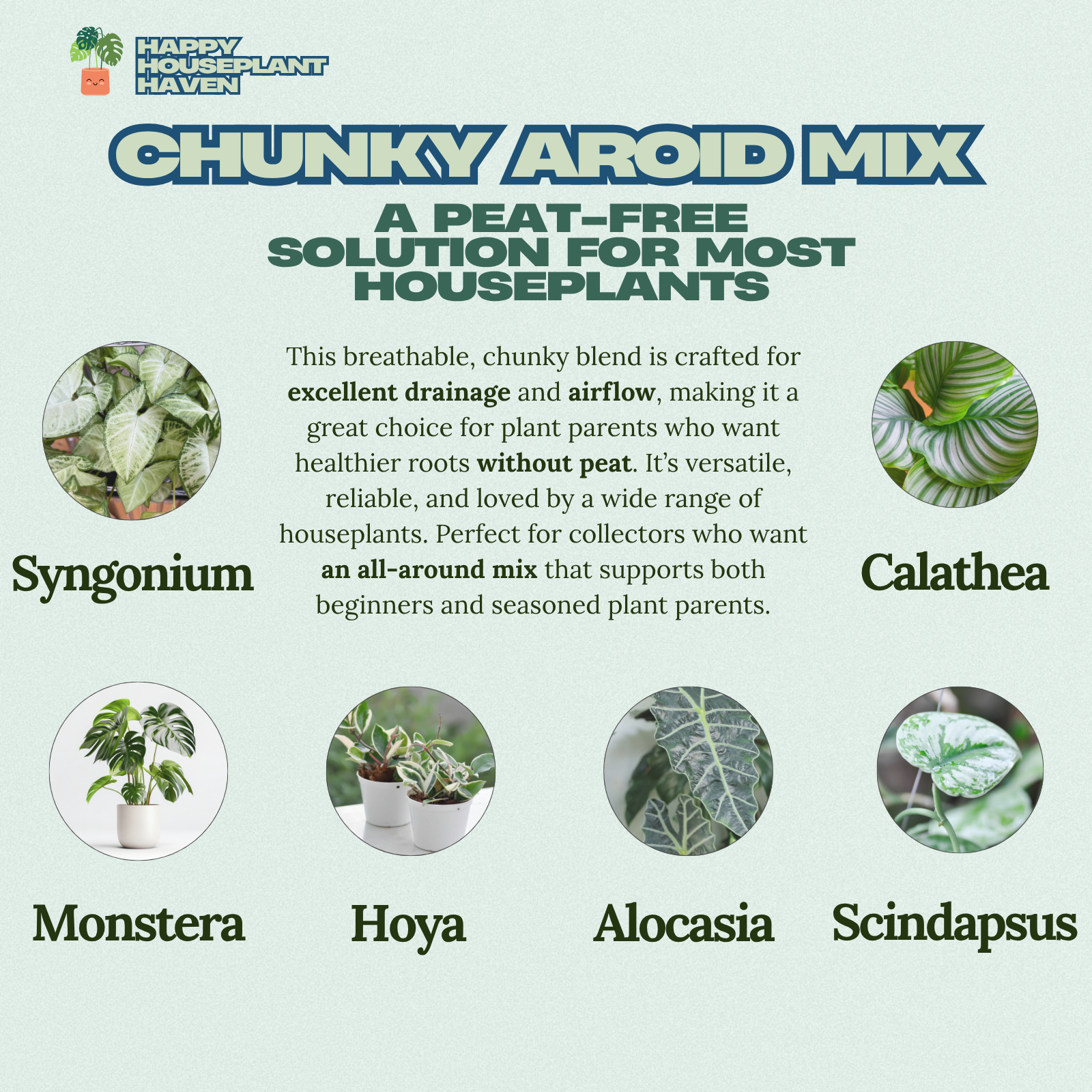 Chunky Monstera Potting Mix | Peat-Free Coco Coir| Fast-Draining Soil for Aroids and Tropical Houseplant Repotting