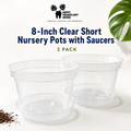 8-Inch Shorty Clear Nursery Pots with Saucers | 2 Pack Azalea Pots | Wide Clear Plant Pots