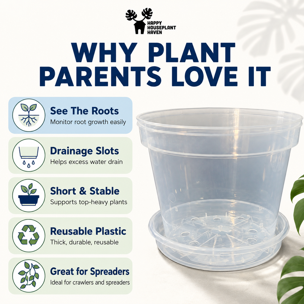 8-Inch Shorty Clear Nursery Pots with Saucers | 2 Pack Azalea Pots | Wide Clear Plant Pots