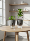 3-inch Self-Watering Pots with Clear Reservoir and Wick | 2 Pack or 4 Pack | Gray or White Modern Style | Semi-Hydro Plant Pots