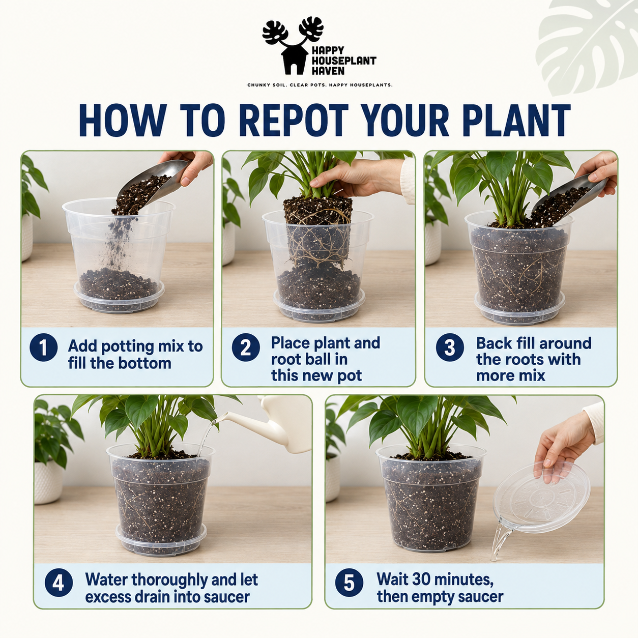An instructional graphic titled 'HOW TO REPOT YOUR PLANT' from Happy Houseplant Haven, showing five numbered steps with hands repotting a green houseplant in a clear plastic pot, adding potting mix, watering, and waiting.