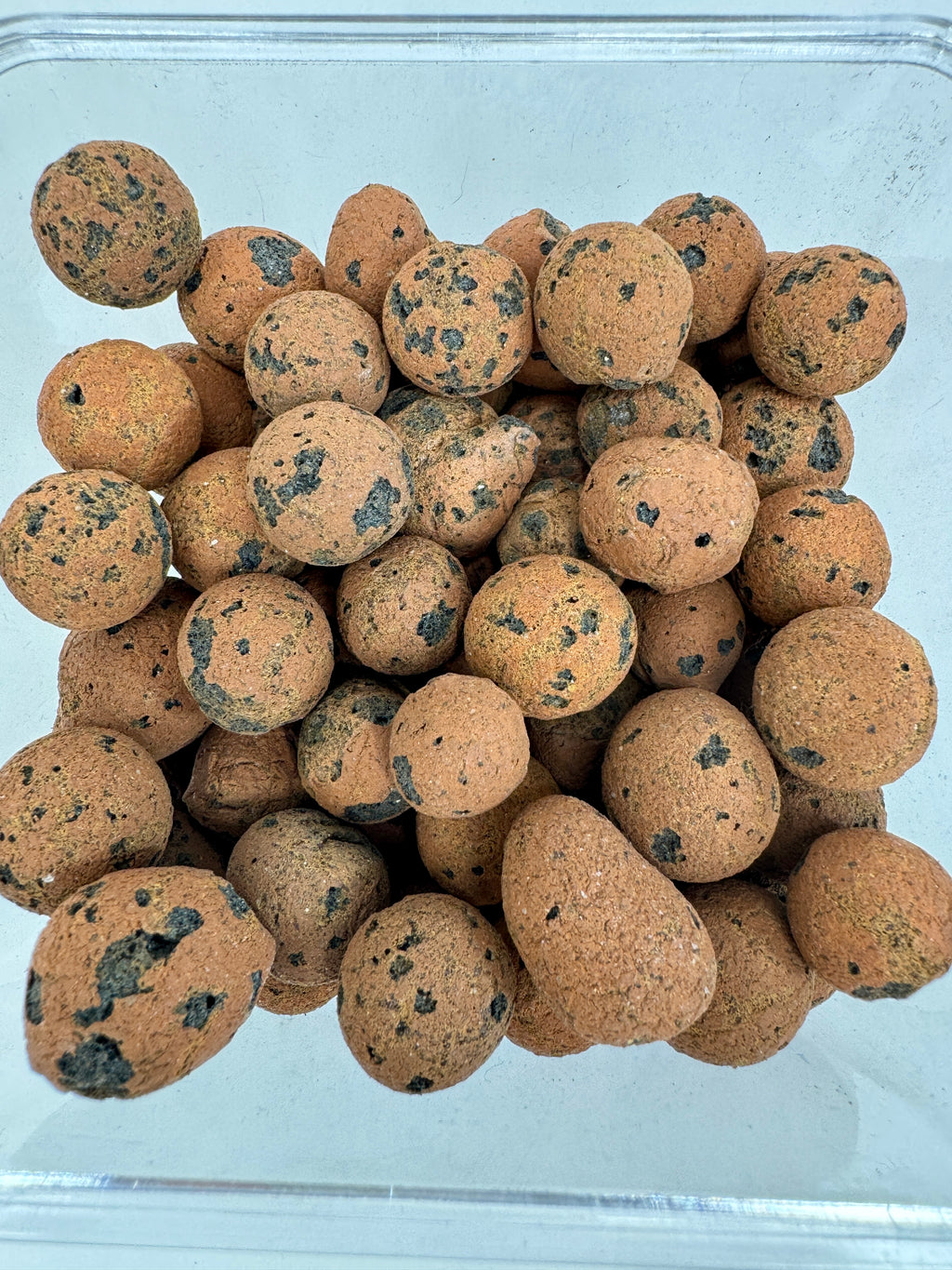 Jumbo LECA - Lightweight Expanded Clay Aggregate 15-25mm Size
