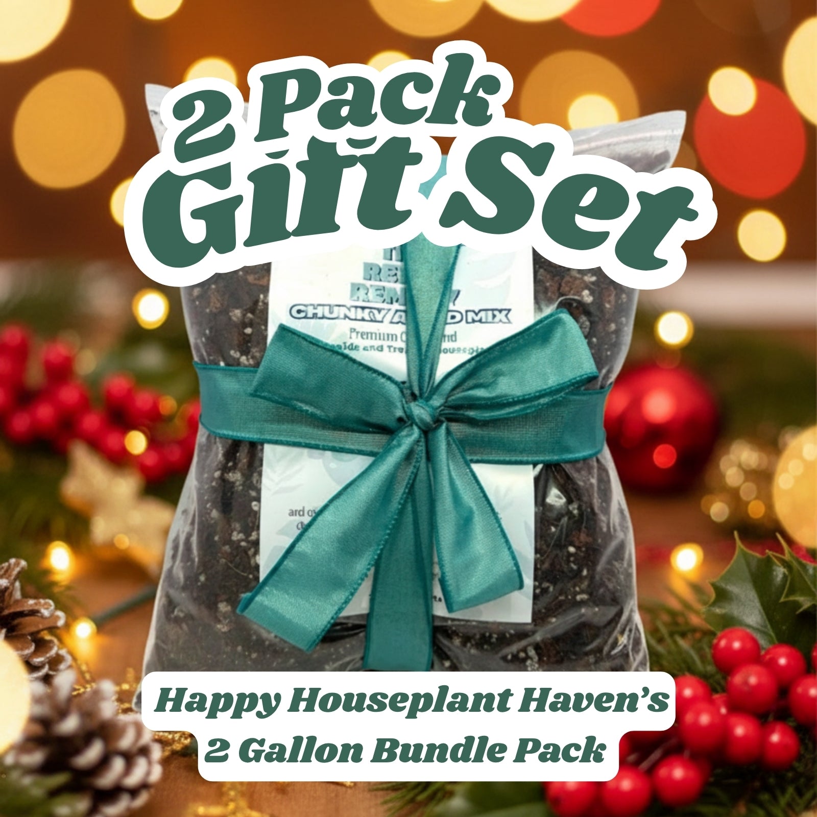 2-pack houseplant gift set with a teal ribbon against a festive background