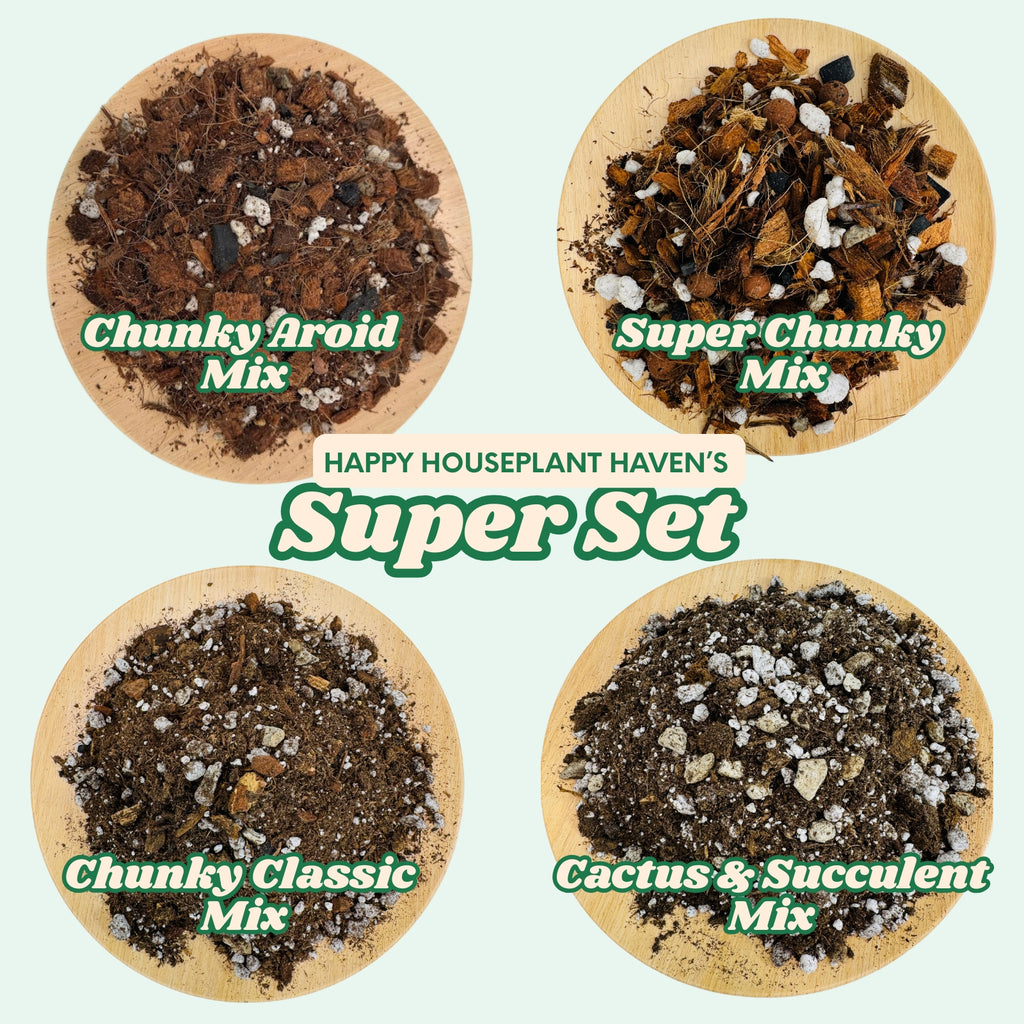 4PK Soil Mix Variety Bundle | 1 or 2 Gallon Gift Set for Houseplant Lovers