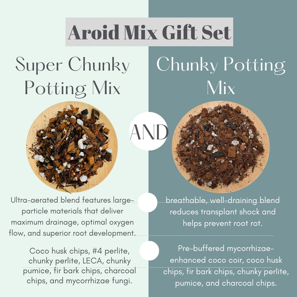 Aroid Mix Gift Set with two types of potting mix on a divided background.